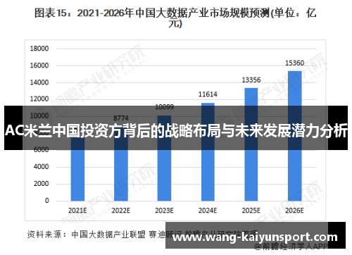 AC米兰中国投资方背后的战略布局与未来发展潜力分析