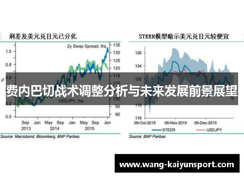 费内巴切战术调整分析与未来发展前景展望