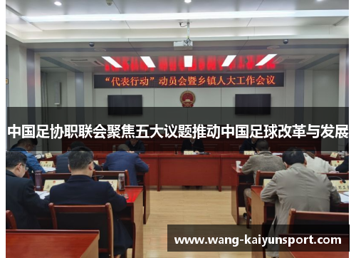 中国足协职联会聚焦五大议题推动中国足球改革与发展
