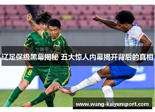 辽足保级黑幕揭秘 五大惊人内幕揭开背后的真相