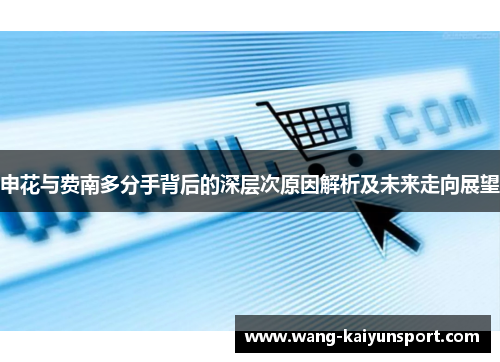 申花与费南多分手背后的深层次原因解析及未来走向展望