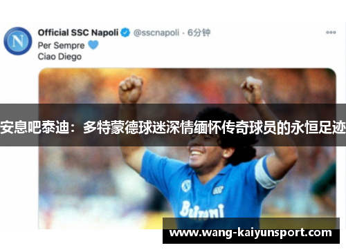 安息吧泰迪：多特蒙德球迷深情缅怀传奇球员的永恒足迹