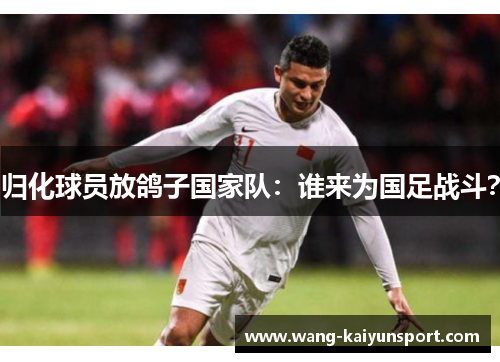 归化球员放鸽子国家队：谁来为国足战斗？