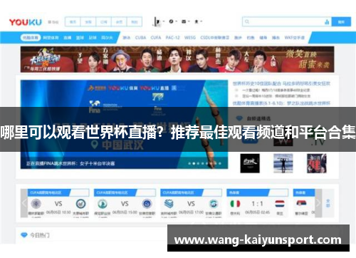 哪里可以观看世界杯直播？推荐最佳观看频道和平台合集