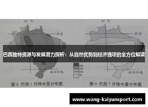 巴西独特资源与发展潜力探析:从自然优势到经济强项的全方位解读