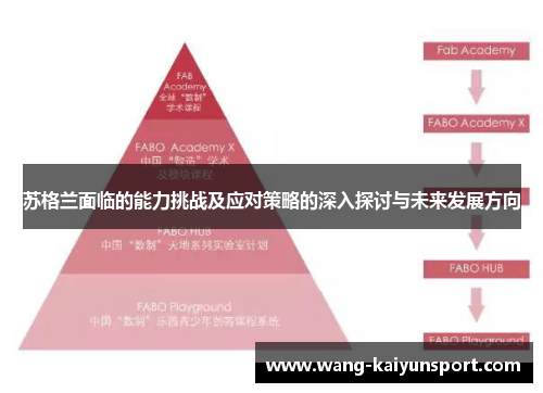 苏格兰面临的能力挑战及应对策略的深入探讨与未来发展方向