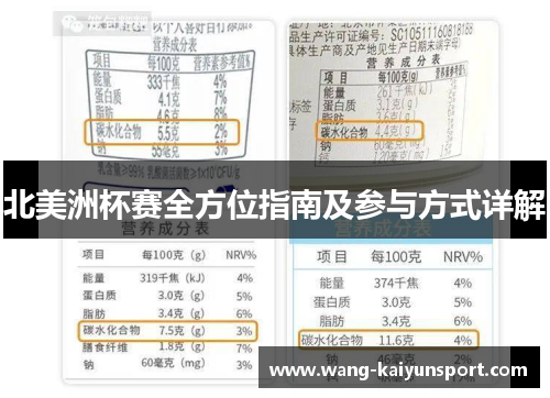 北美洲杯赛全方位指南及参与方式详解