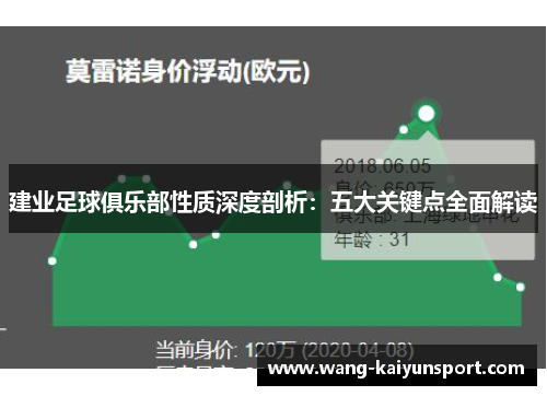 建业足球俱乐部性质深度剖析：五大关键点全面解读