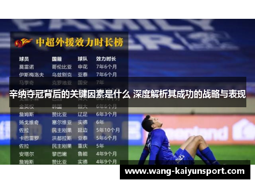 辛纳夺冠背后的关键因素是什么 深度解析其成功的战略与表现